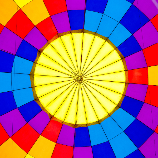 Enterprise Management Incentives