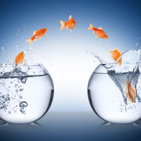 business restructuring